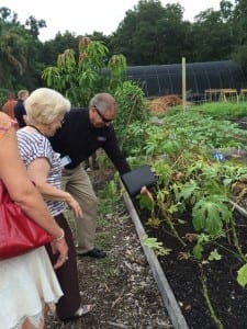 Steve King, Executive Director, visits the Meals On Wheels of Tampa community garden at the Sustainable Living Project near Lowry Park.