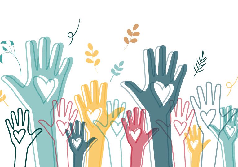 volunteer work in tampa meals on wheels of tampa